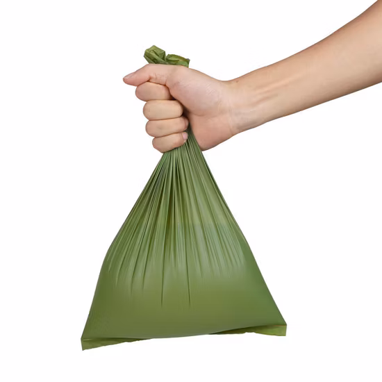 Écologique